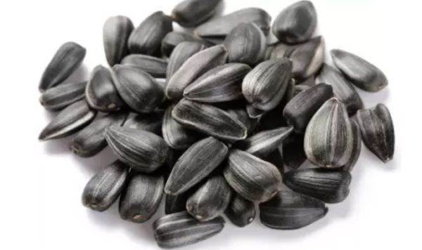 Black Sunflower Seeds Birds Food / Oil Extraction