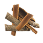 Cassia - Pattai (பட்டை)