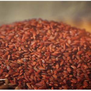 Aruvatham Kuruvai Rice (அருவதம் குறுவை)
