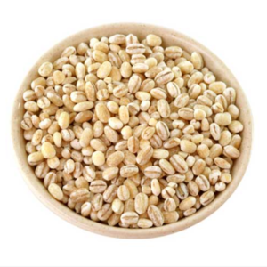Barley / Jau / Vaarkothumai