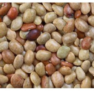 Horse Gram Kollu (கொள்ளு)