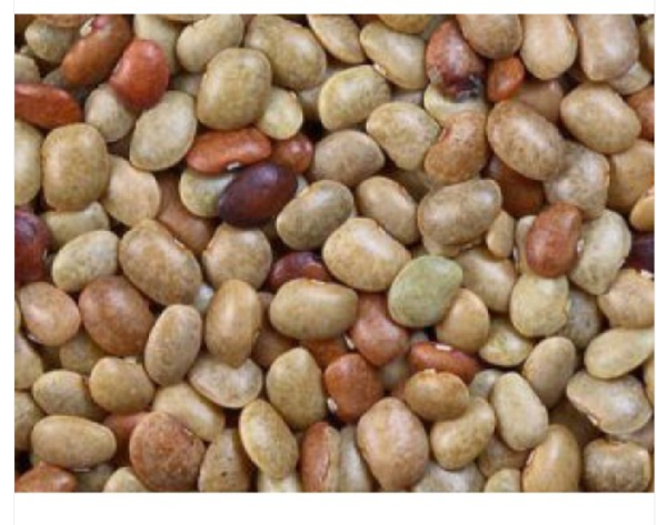 Horse Gram Kollu (கொள்ளு)