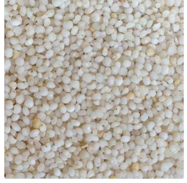 Kodo Millet Rice Varagu (வரகு)