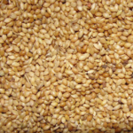 Kuruvi Thinai 1Kg - Bird Feed Foxtail