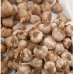 Mountain | Hill Garlic (மலை பூண்டு)