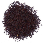 Mustard Kadugu (கடுகு)