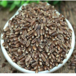 Natural Black Wheat (கறுப்பு கோதுமை)