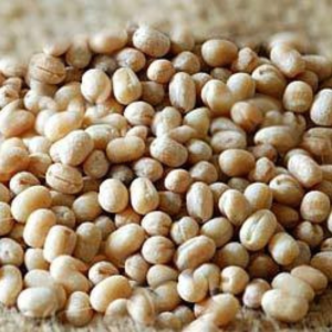 Organic Urad Dal Whole Peeled (உளுந்து பருப்பு)
