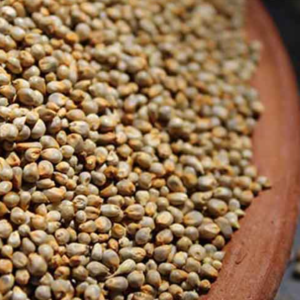 Pearl Millet Bajra Rice (Kambu Arisi Bajra Gantilu Sajje)