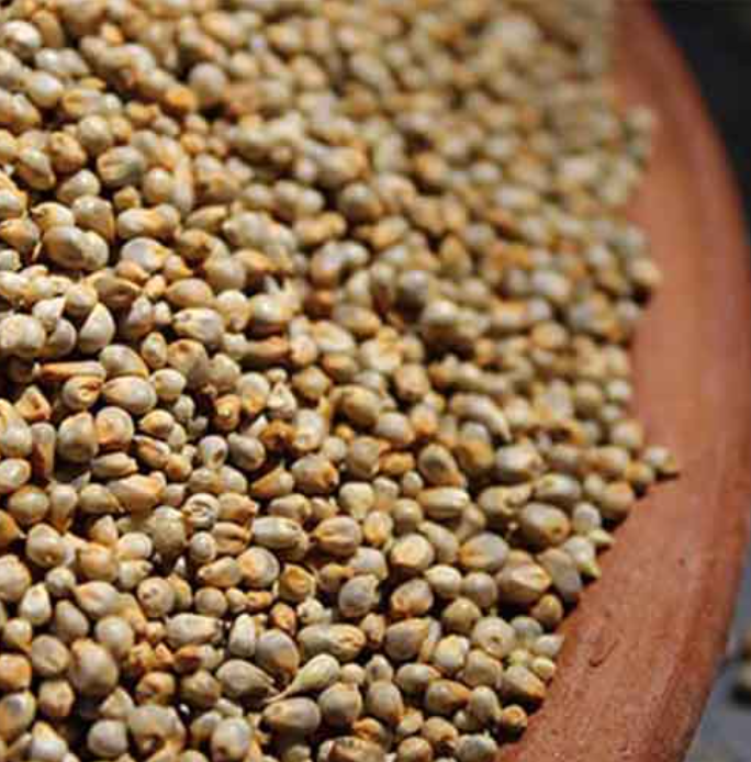 Screenshot 2025-09-28 154025 Pearl Millet Bajra Rice (Kambu Arisi Bajra Gantilu Sajje)