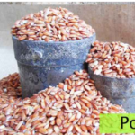 Poongar Rice