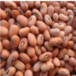 Red Cow Pea | Karamani Thatta Payaru (சிவப்பு தட்டை பயறு) 500g