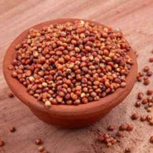 Sivappu Red Cholam Red Sorghum Jowar Jonna Jola Cholum (சிவப்பு சோளம்)