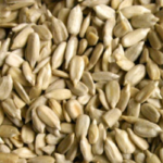 Sunflower Seeds (சூரியகாந்தி விதை)