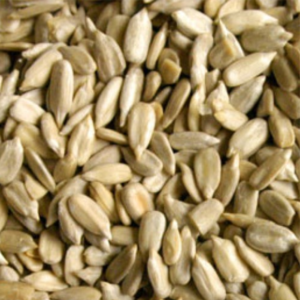 Sunflower Seeds (சூரியகாந்தி விதை)