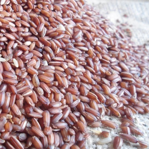 Buy-Organic-Kaattu-Yanam-Rice-500x500