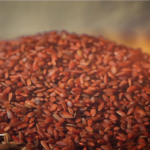 Aruvatham Kuruvai Rice (அருவதம் குறுவை)