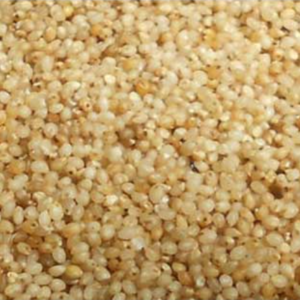 Barnyard Millet Rice | Kuthiraivali Arisi (குதிரைவாலி)