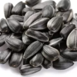 Black Sunflower Seeds Birds Food / Oil Extraction